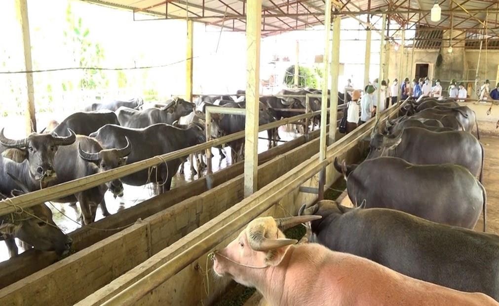 251101_%20b%C3%A0i%202