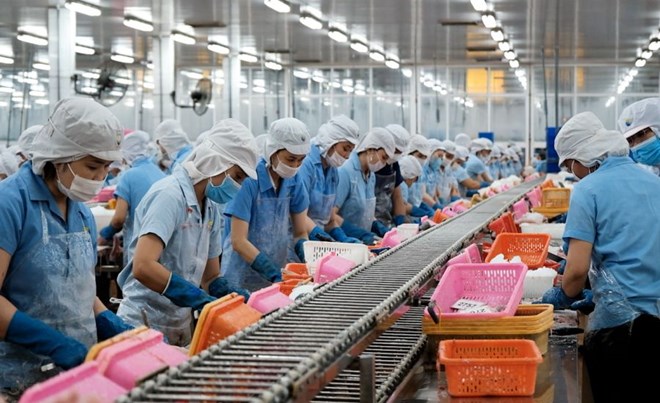 251106_b%C3%A0i%2011