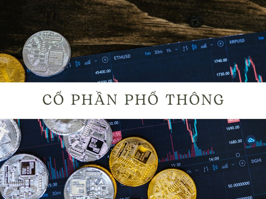 Co%20phan%20pho%20thong