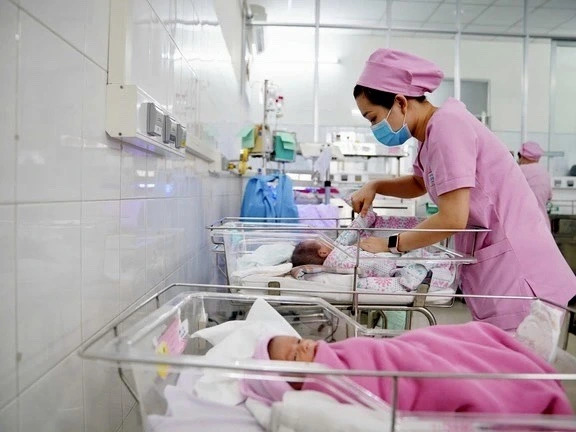 dan-so-1741603331625360505424