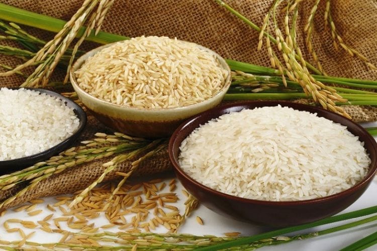 ma-nganh-4631-ban-buon-gao-lua-my-hat-ngo-coc-khac-bot-my