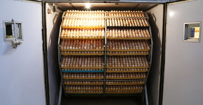 may-lo-dao-trung-tu-dong